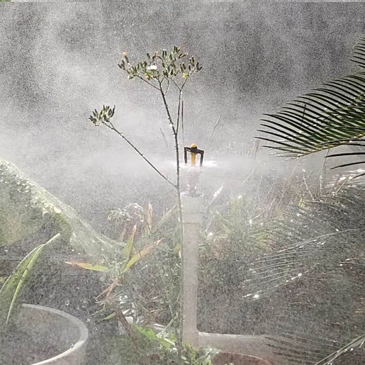 寧夏枸杞種植基地微噴灌溉系統(tǒng)